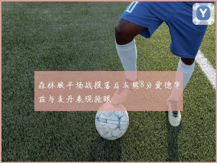 森林狼半场战报落后灰熊8分爱德华兹与麦丹表现抢眼